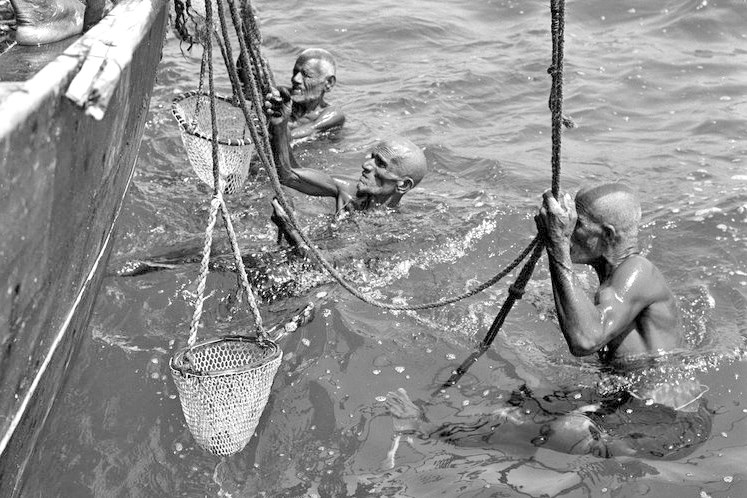 Gulf Weekly Divers’ musical tribute 