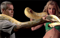 Gulf Weekly Henry Rollins to host exotic animal TV show