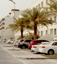 TANTALISING TALA ISLAND