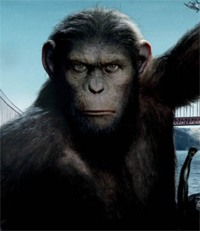 Gulf Weekly Monkey business