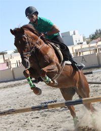 Gulf Weekly Equine events heat up