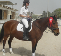 Small pony with big winning attitude