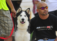 Gulf Weekly Shedding light on animals
