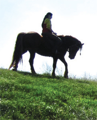 Gulf Weekly Saddle-up for adventure