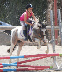 Jumping into a spectrum of fun