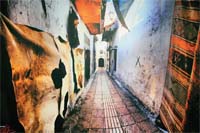 Talent comes into focus