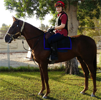 Gulf Weekly Great action on the cards