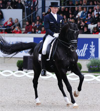 Gulf Weekly Stage set for dressage test