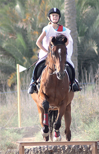 Gulf Weekly Too Hot To Trot