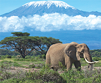 Trekking it out for charity