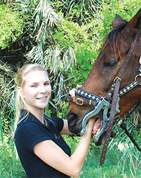 Gulf Weekly Dental care for horses...