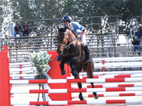 Gulf Weekly Too Hot to Trot