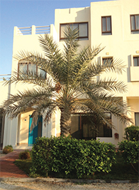 Gulf Weekly Lovely accommodation
