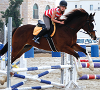 Gulf Weekly Pure joy for mounts, riders