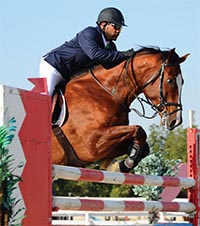 Taking up the challenge