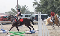 Gulf Weekly Too hot to trot