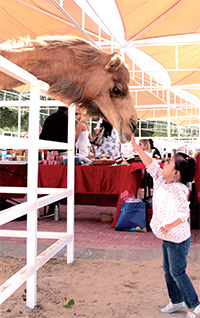 Gulf Weekly Animal-lovers flock to show