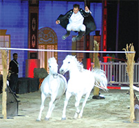 Gulf Weekly Too Hot To Trot: Fabulous performance