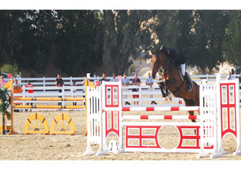 Gulf Weekly A lot of thrills and spills