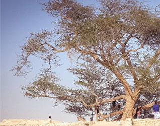 Safeguarding iconic attraction