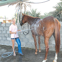 Gulf Weekly Too Hot To Trot