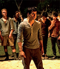 Gulf Weekly Not so a-maze-ing!