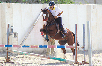 Gulf Weekly Showing a clean pair of hooves