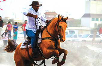 Gulf Weekly Too Hot To Trot