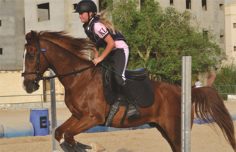 Gulf Weekly Too Hot To Trot