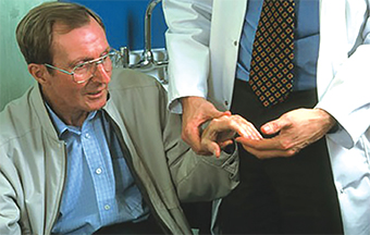 Gulf Weekly Disease identification