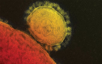 Gulf Weekly MERS ‘poses grave risk’