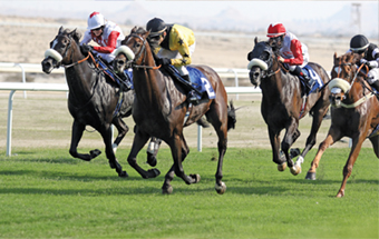 Gulf Weekly Let the races begin!