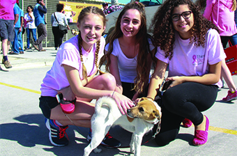 Gulf Weekly A walk for man’s best friend