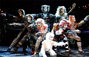 Search for purr-fect talent