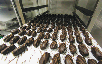 Gulf Weekly It’s not chocolate if it doesn’t melt!