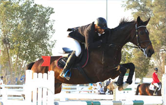 Gulf Weekly Too hot to trot