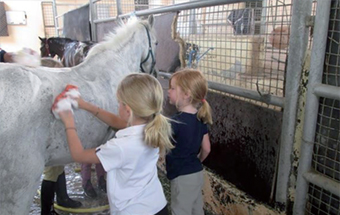 Riding out the challenge