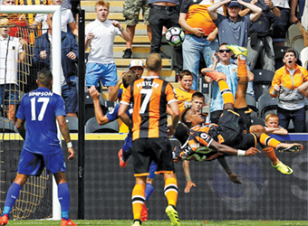 A fox in a tiger’s den ...