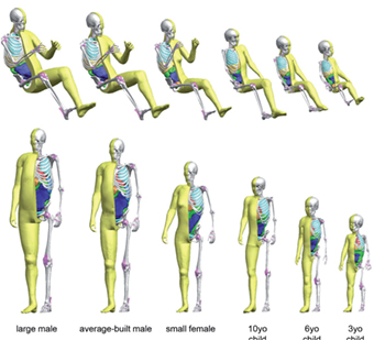 Dummy run on a model for safer future on the roads