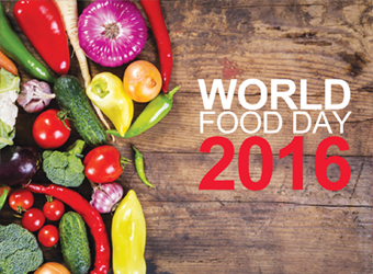 Gulf Weekly Education Matters