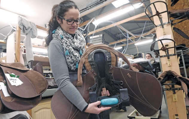 Gulf Weekly Trotting along in total sync