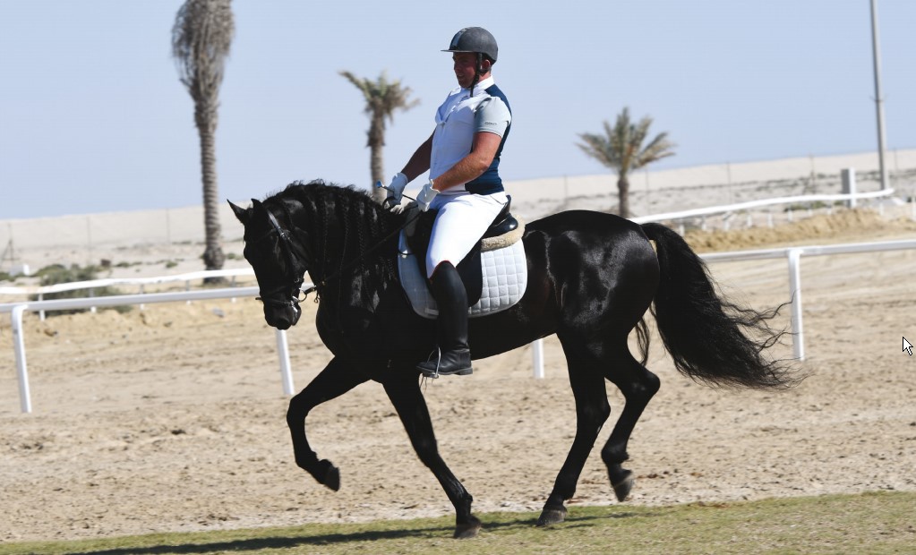 Gulf Weekly Dressage delight