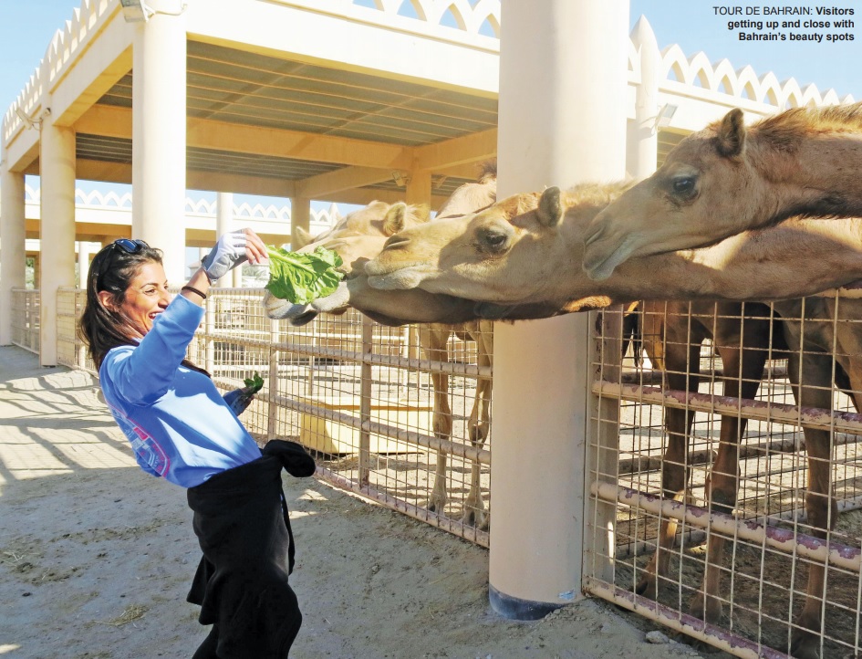 Gulf Weekly Taking tourism off the beaten track