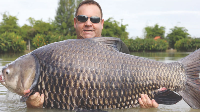 Gulf Weekly ANOTHER WHOPPER!