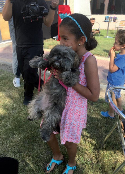 Gulf Weekly Tea party fun for mutts (and owners)