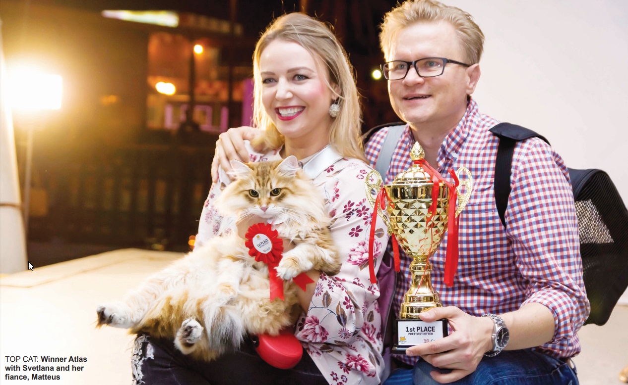 Gulf Weekly Cute cats show they’re feline fine
