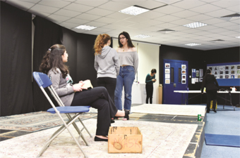 Gulf Weekly Earnest endeavours will keep audiences entertained