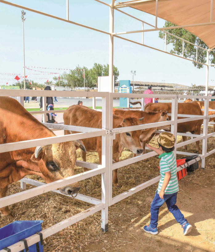 Gulf Weekly Animal antics pack them in