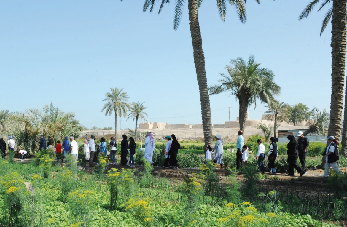 Gulf Weekly Perfect palm tree plan bears fruit