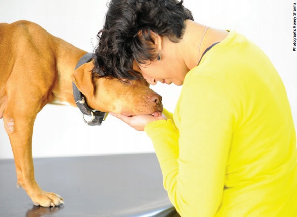 Gulf Weekly REIKI FOR MUTTS